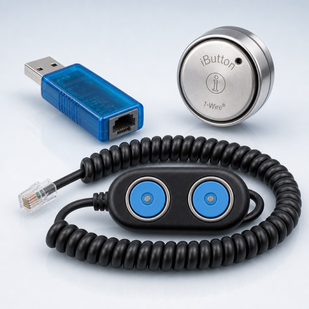 iButton THERMO-S-KIT-H Hygrochron Starter Kit